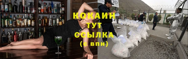 прущие грибы Баксан